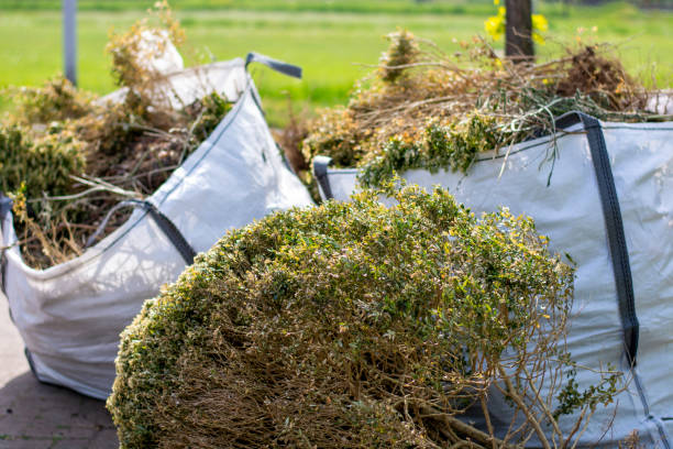 Trusted Pico Rivera, CA Junk Removal Experts